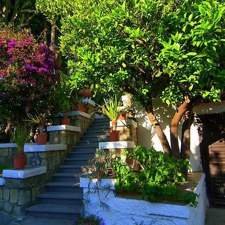 Hotel Terme Castaldi Forio di Ischia Kültér fotó